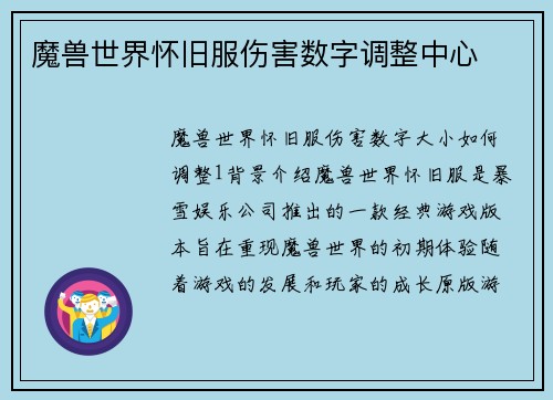 魔兽世界怀旧服伤害数字调整中心